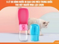 5 Lý do bình nước đi dạo cho mèo Trung Quốc thu hút người mua lựa chọn
