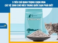 5 Tiêu chí quan trọng chọn mua cát vệ sinh chó mèo Trung Quốc bạn phải biết