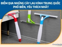 Điểm qua những cây lau kính Trung Quốc phổ biến, yêu thích nhất