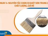 Lưu ngay 3+ nguyên tắc chọn cọ quét sơn Trung Quốc chất lượng, giá rẻ