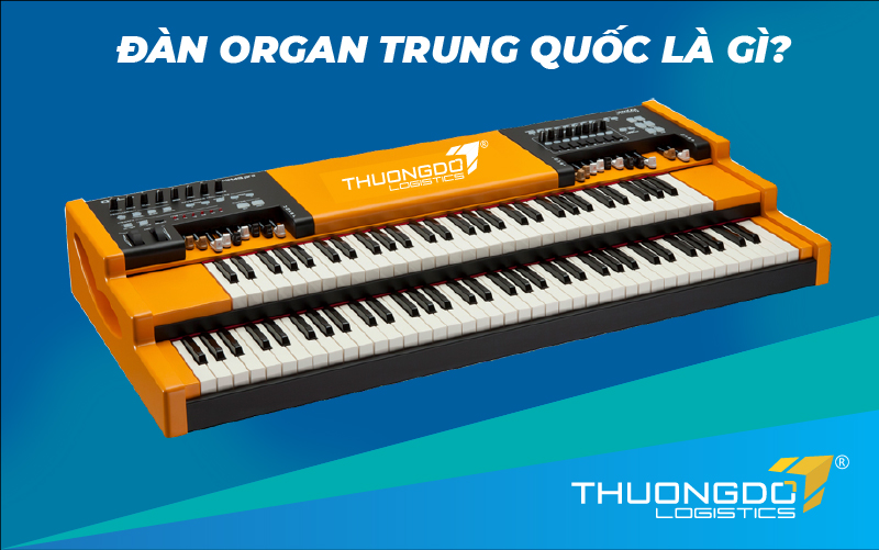 Đàn organ Trung Quốc là gì?
