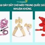 Bật mí 4 loại dây dắt chó mèo Trung Quốc giúp thu lợi nhuận khủng