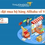 Dịch vụ đặt mua hộ hàng Alibaba về Việt Nam – [Từ 1%] Phí mua hộ