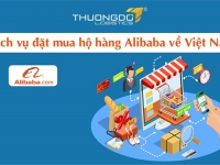 Dịch vụ đặt mua hộ hàng Alibaba về Việt Nam – [Từ 1%] Phí mua hộ