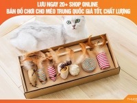 Lưu ngay 20+ shop online bán đồ chơi cho mèo Trung Quốc giá tốt, chất lượng
