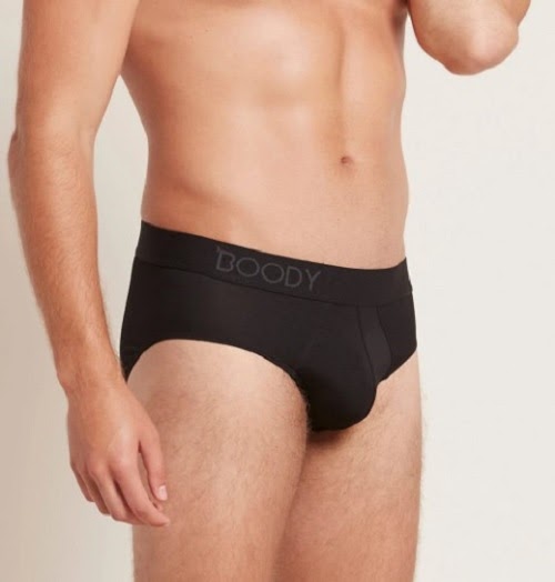 Briefs