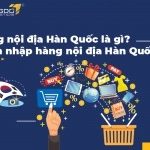 Hàng nội địa Hàn Quốc là gì? Làm sao nhập hàng nội địa Hàn Quốc về bán