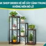 11+ link shop order kệ để cây cảnh Trung Quốc không nên bỏ lỡ