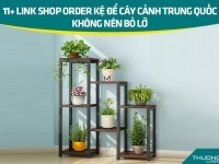 11+ link shop order kệ để cây cảnh Trung Quốc không nên bỏ lỡ