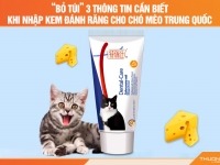 “Bỏ túi” 3 thông tin cần biết khi nhập kem đánh răng cho chó mèo Trung Quốc