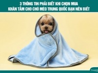 3 Thông tin phải biết khi chọn mua khăn tắm cho chó mèo Trung Quốc