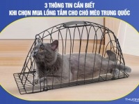 3 Thông tin cần biết khi chọn mua lồng tắm cho chó mèo Trung Quốc