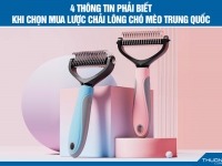 4 Thông tin phải biết khi chọn mua lược chải lông chó mèo Trung Quốc