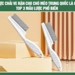 Lược chải ve rận cho chó mèo Trung Quốc là gì? Top 3 mẫu lược phổ biến