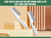 Lược chải ve rận cho chó mèo Trung Quốc là gì? Top 3 mẫu lược phổ biến