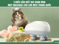 3 Điều cần biết khi chọn mua máy massage cho chó mèo Trung Quốc