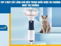 Top 5 máy sấy lông chó mèo Trung Quốc được ưa chuộng nhất thị trường