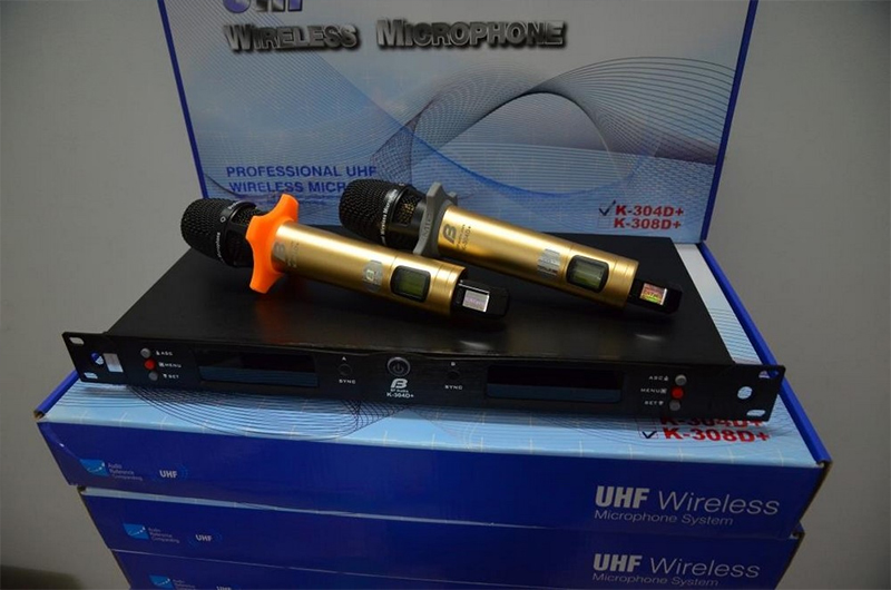 Micro không dây BFaudio 304D Plus
