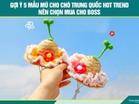 Gợi ý 5 mẫu mũ cho chó Trung Quốc hot trend nên chọn mua cho boss