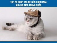 Top 20 shop online nên chọn mua mũ cho mèo Trung Quốc [MỚI NHẤT]