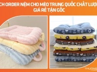 Cách order nệm cho mèo Trung Quốc chất lượng, giá rẻ tận gốc
