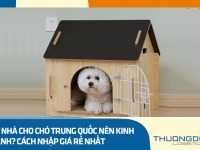 Top nhà cho chó Trung Quốc nên kinh doanh? Cách nhập giá rẻ nhất