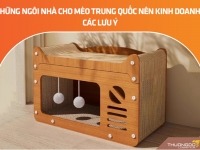 Những ngôi nhà cho mèo Trung Quốc nên kinh doanh? Các lưu ý