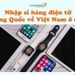 Nhập sỉ hàng điện tử Trung Quốc về Việt Nam ở đâu?