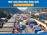 Nhập hàng Đông Hưng Trung Quốc T8/2026 chỉ từ 8000VNĐ/kg với Thương Đô
