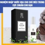 Kinh nghiệm nhập nước hoa cho chó mèo Trung Quốc cực chuẩn cho bạn
