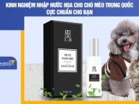 Kinh nghiệm nhập nước hoa cho chó mèo Trung Quốc cực chuẩn cho bạn