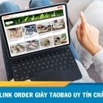 List 50+ link order giày Taobao uy tín chất lượng [Update 2026]
