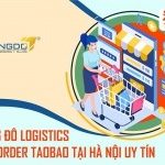 Thương Đô Logistics – Đơn vị order Taobao tại Hà Nội uy tín