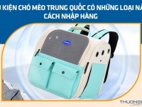 Phụ kiện chó mèo Trung Quốc có những loại nào? Cách nhập hàng