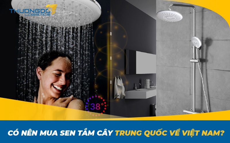 Có nên mua sen tắm cây Trung Quốc về Việt Nam?