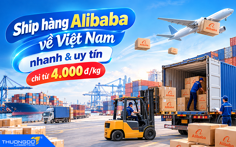 Dịch vụ vận chuyển ship hàng từ Alibaba về Việt Nam T9/2026 từ 4.000Đ/Kg