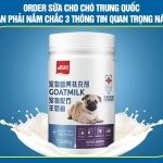 Order sữa cho chó Trung Quốc – Bạn phải nắm chắc 3 thông tin này!