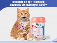 Order sữa cho mèo Trung Quốc qua nguồn nào chất lượng, giá tốt?