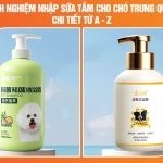 Kinh nghiệm nhập sữa tắm cho chó Trung Quốc chi tiết từ A – Z bạn cần nắm chắc