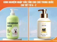 Kinh nghiệm nhập sữa tắm cho chó Trung Quốc chi tiết từ A – Z bạn cần nắm chắc