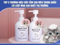 Top 5 thương hiệu sữa tắm cho mèo Trung Quốc có lượt mua cao nhất hiện nay