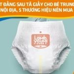 Sự thật đằng sau tã giấy cho bé Trung Quốc nội địa, 5+ thương hiệu nên mua