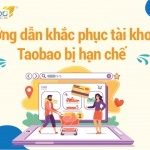 Hướng dẫn khắc phục tài khoản Taobao bị hạn chế đăng nhập thành công