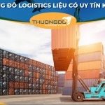 Review Thương Đô Logistics có uy tín không?