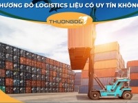Review Thương Đô Logistics có uy tín không?