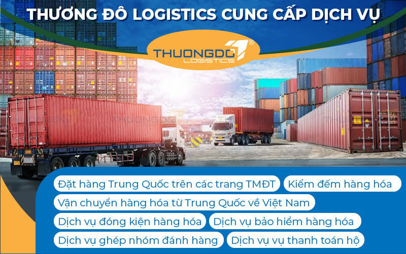 Thương Đô Logistics cung cấp nhiều dịch vụ