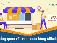 Alibaba là gì? “Bách Khoa Toàn Thư” về trang mua hàng Alibaba
