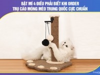 Bật mí 4 điều phải biết khi order trụ cào móng mèo Trung Quốc cực chuẩn