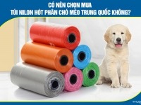 Có nên chọn mua túi nilon hót phân chó mèo Trung Quốc không?