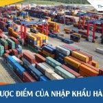 Nhập khẩu là gì? Ưu nhược điểm của nhập khẩu hàng hóa